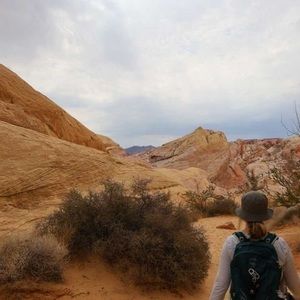 Meet your Posher, Annemarie